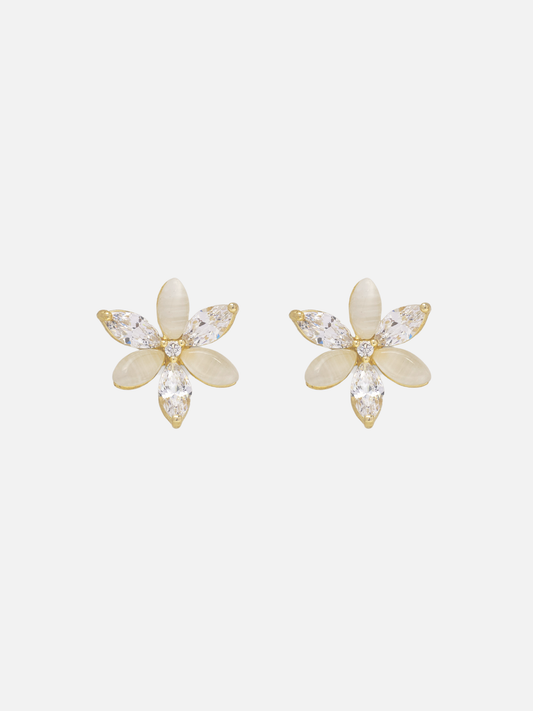 Eva Stud Earrings in Gold