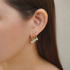 Xarlette Earrings in Gold