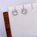 Jaella Earrings in Rhodium