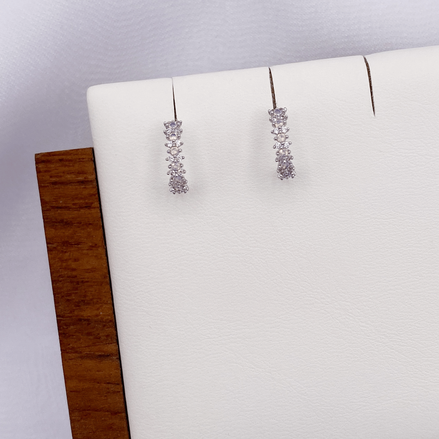 Jendara Earrings in Rhodium