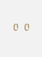 Xanzara Hoops in Gold