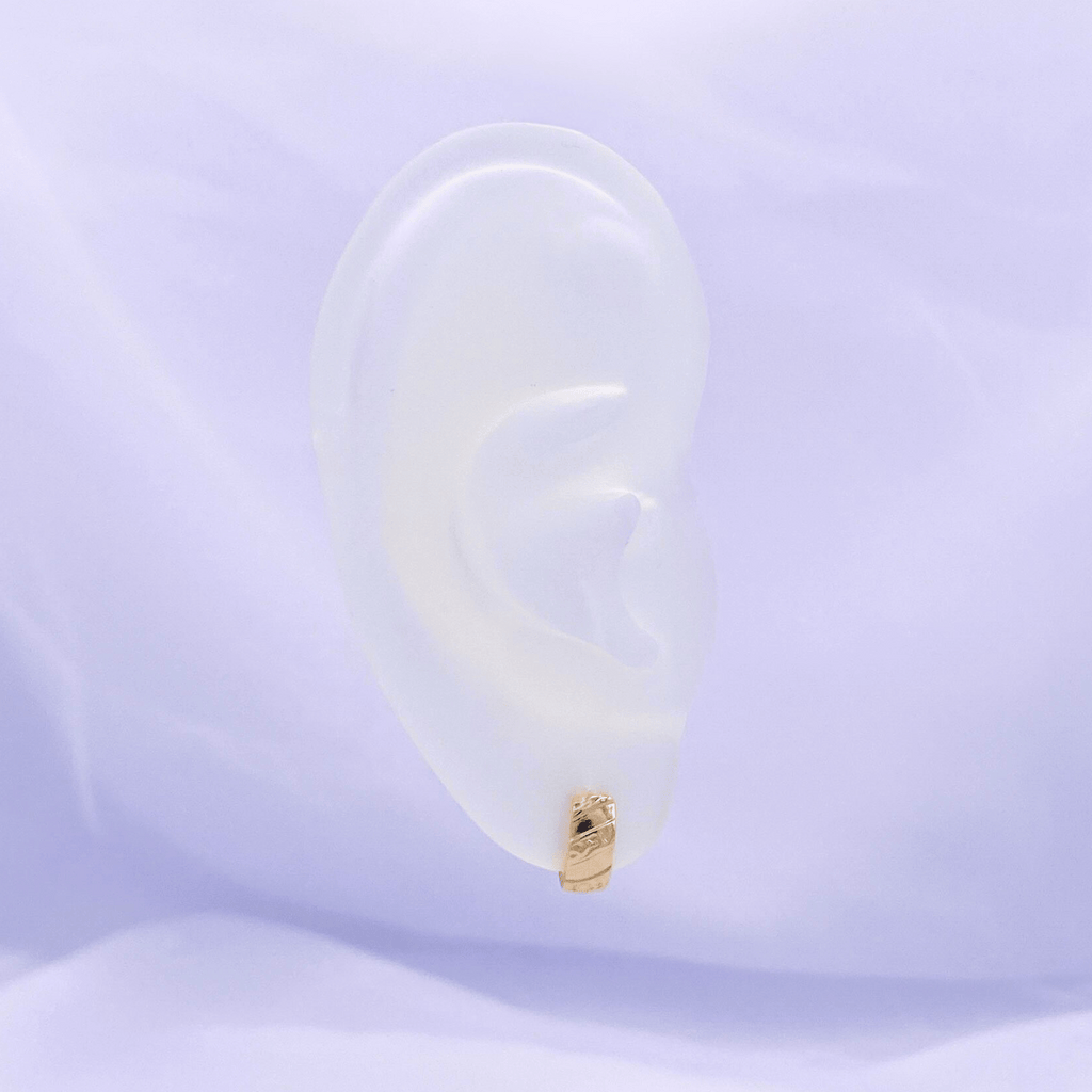 Xavianna Hoop Earrings in Goldd