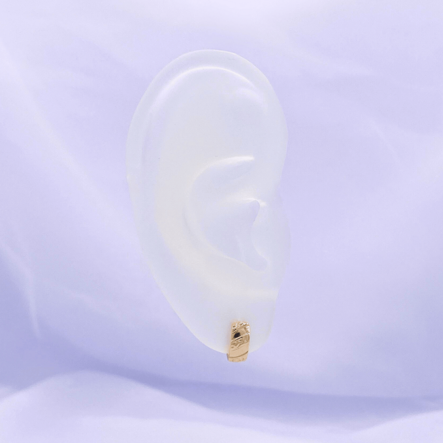 xavianna hoop earrings in goldd
