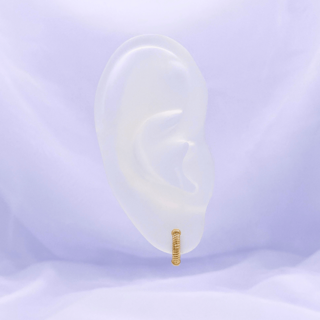 Xonia Hoop Earrings in Gold