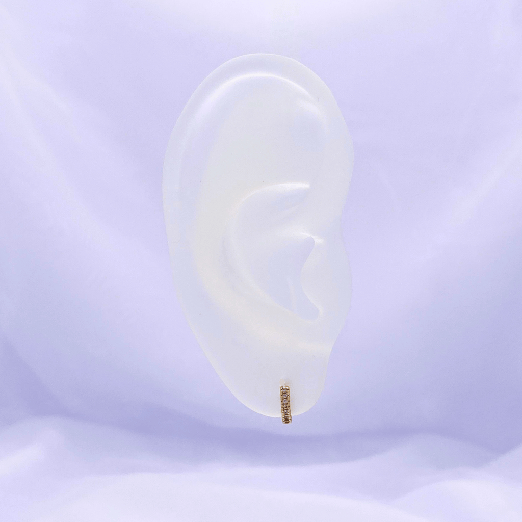 Xynovia Hoop Earrings in Gold