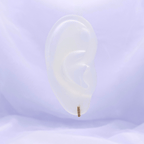 Xynovia Hoop Earrings in Gold